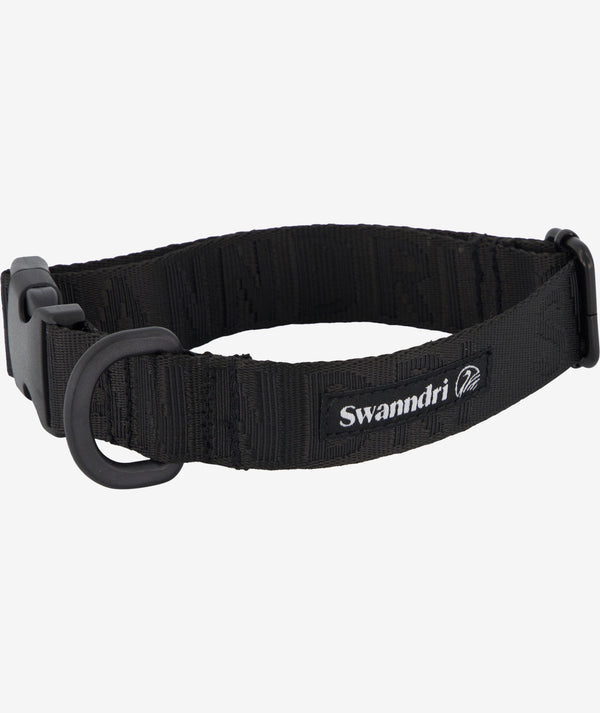 Dog Boss Dog Collar