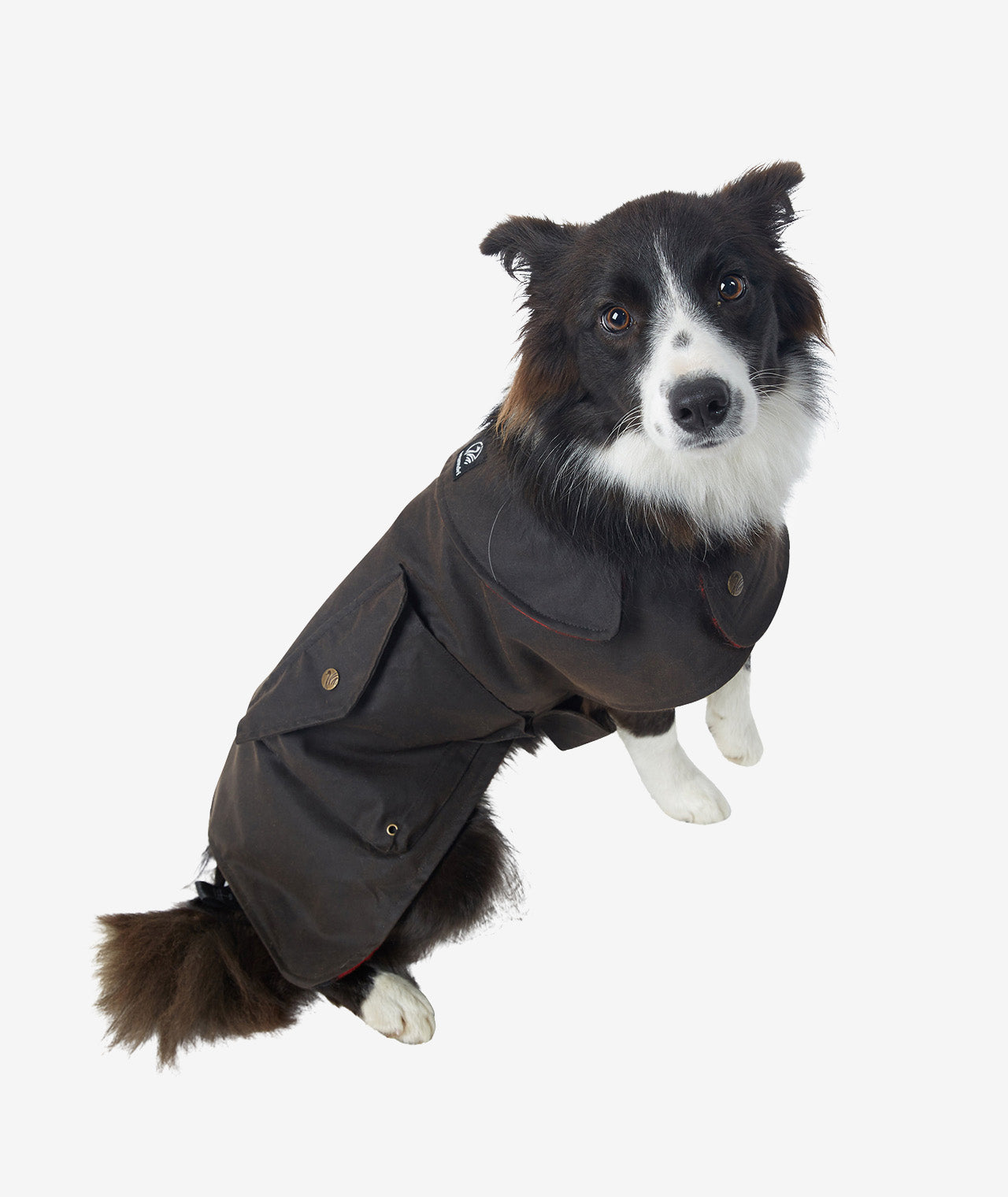 Hunter Oilskin Dog Coat Brown XS