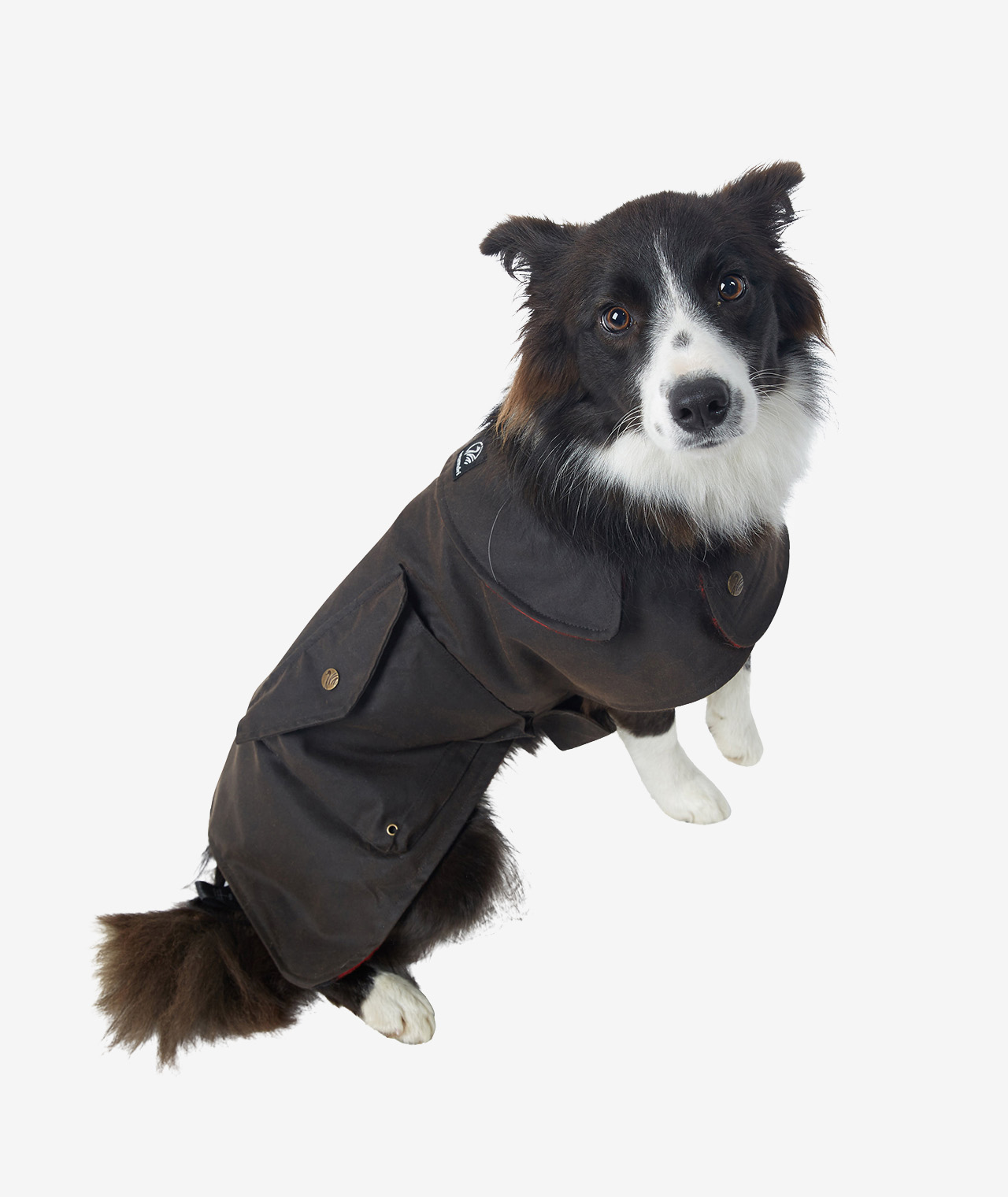 Hunter Oilskin Dog Coat